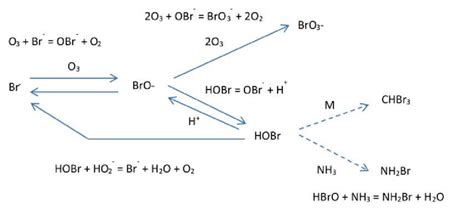 Bromate formation -chemical pathway, adapted from von Gunten, 2003b ...