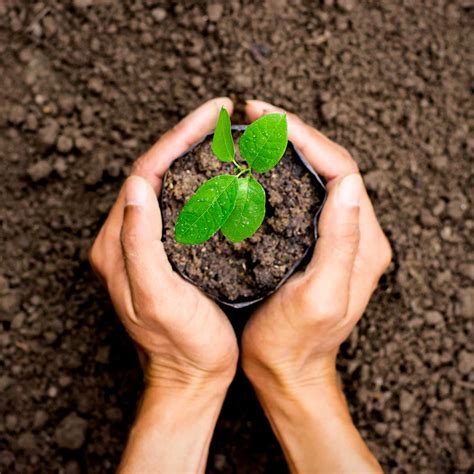 Naked Gardening Day May National Today