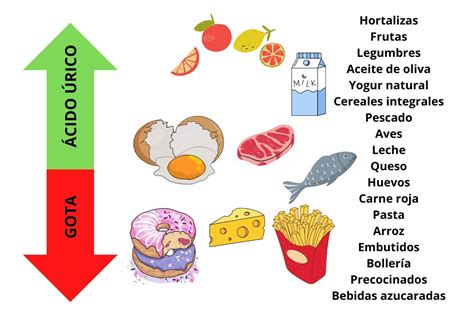 Alimentos Que Contém ácido úrico - RETOEDU