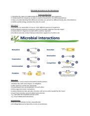 Microbial Interactions.docx - Microbial Interactions & the Microbiome ...