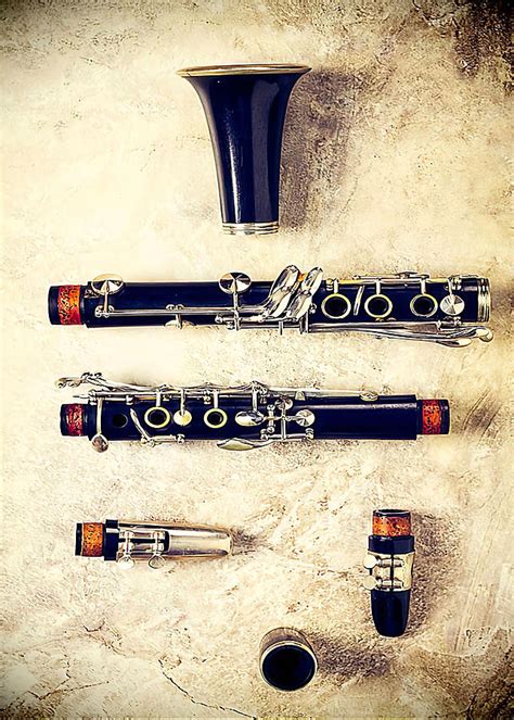 Clarinet Old Clarinet Parts Digital Art by Gambrel Temple - Fine Art ...