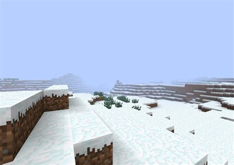 Minecraft Snow Biome