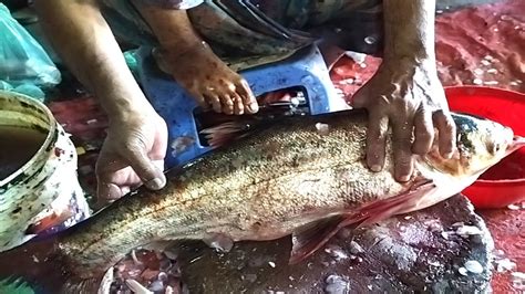 Sylhet Fish Amazing Cutting Skills Big Fish Silver Cup Cleaning