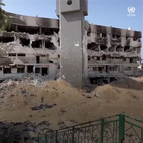 Video United Nations Ocha On Linkedin Gaza