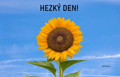 Přání Na Dobrý Den Krásný Den Hezký Den Pohodový Den