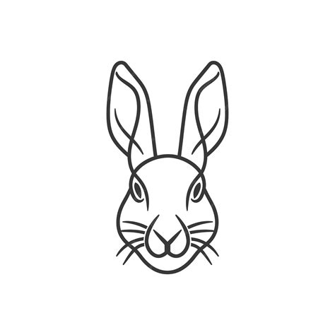 rabbits face 3