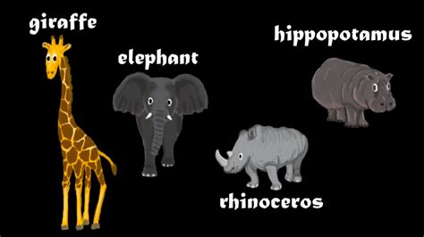 Elephant Vs Rhino Vs Hippo