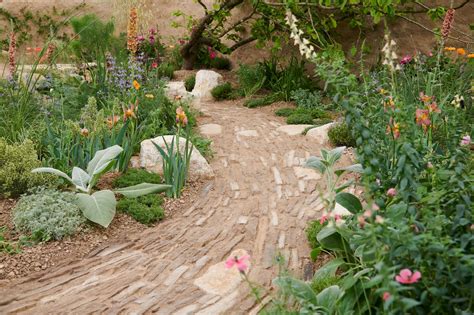 The Choose Love Garden Rhs Chelsea Flower Show 2023 — Planty Projects