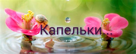 Капельки... | Макромир, капли любых форм... 2025 | ВКонтакте