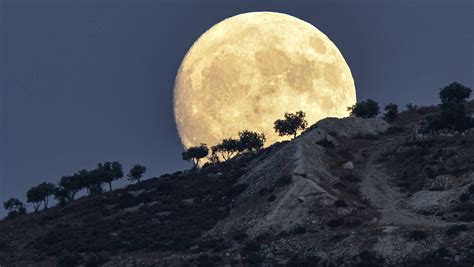 Supermoon 2024 Nzd Caria Myrilla