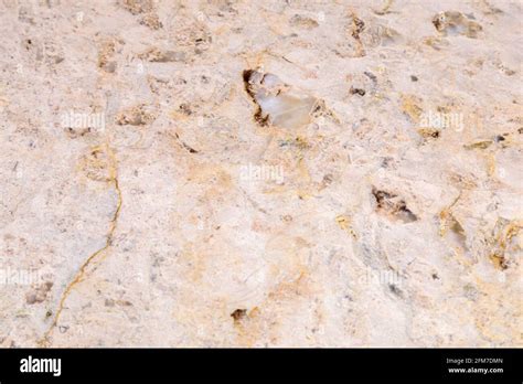 Dolomite Natural Stone Texture Stone With Beige Pattern On A Smooth