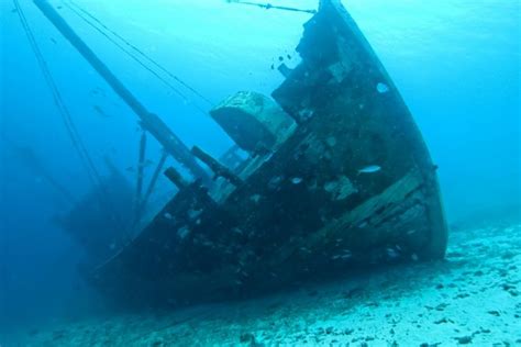 Underwater Shipwreck Cartoon Hawaii Dermatology Wallpapers | HD
