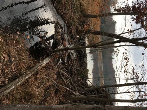 The Beaver Dam