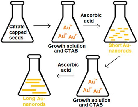 Frontiers Gold Nanoparticles Based Optical Biosensors For Cancer Biomarker Proteins A Review