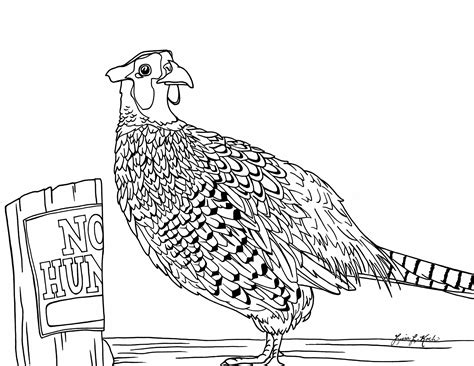 Flying Ringneck Pheasant Coloring Pages