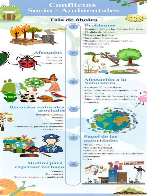 Infografía Conflictos Ambientales Pdf