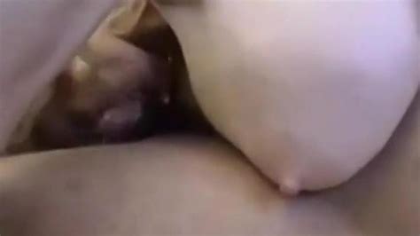 Patty Plenty Bogas Bros Porn Videos