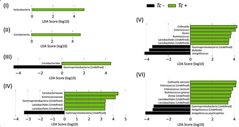 Rank Plot Of Differentially Abundant Faecal Bacteria At The Phylum I