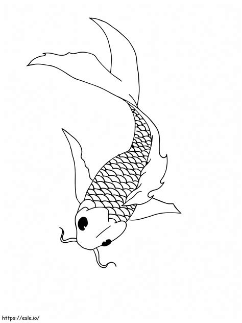 koi fish drawing easy 3