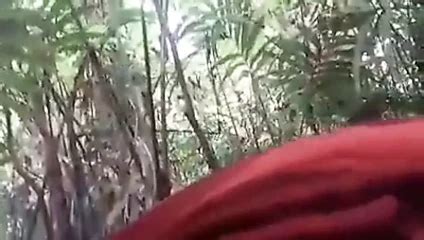 Freebie 5 Cowgirl Porn XHamster