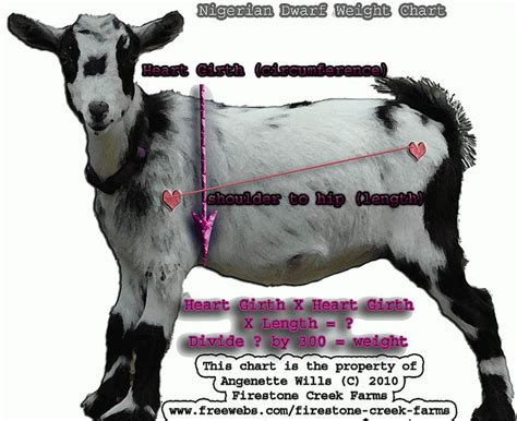 Goat Weight Chart Goat Care Goats Goat Farming Hot Sex Picture