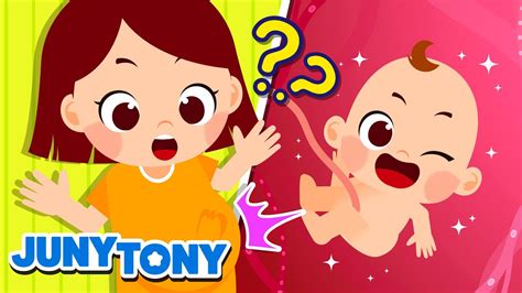 Como Nascem Os Bebês Como Eu Nasci Música Infantil Junytony Em Português Youtube