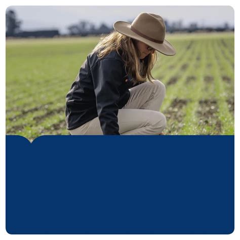 How To Start A New Pasture With Our Tips Pgg Wrightson Seeds Posted