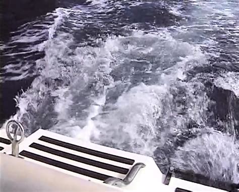 Travel Pleasures Germany 1998 Jacqueline Wild Suzy Cat Blonde Cat