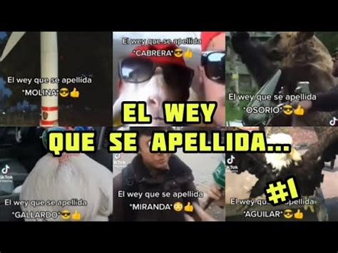 RECOPILACIÓN DE EL WEY QUE SE APELLIDA 1 YouTube