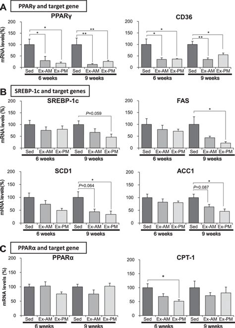 Hepatic Gene Expression Of Ppar Srebp C And Ppar And Their Target