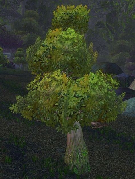 Ashenvale Oak Wowpedia Your Wiki Guide To The World Of Warcraft