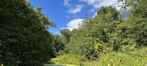 Preparation Canyon Overnight Route, Iowa - 75 Reviews, Map | AllTrails
