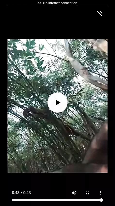 The Semen Came Out By Shaking The Penis The Semen Has To Be Taken Out By Shaking The Penis Gay