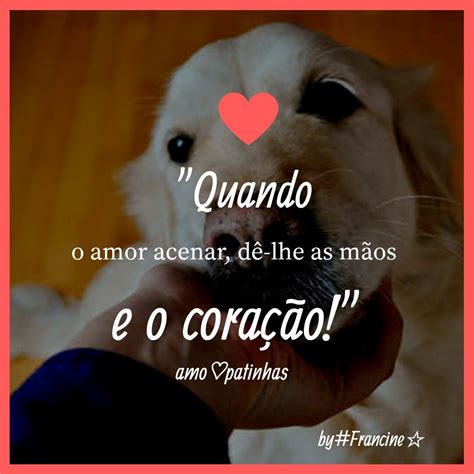 Animais De Estimação Frases - 6