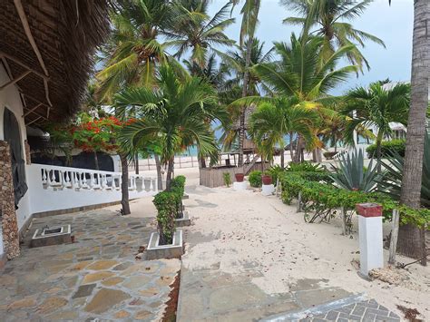 Wood Burning Oven - AMAZING world cup OFFER! Get your wood-burning oven