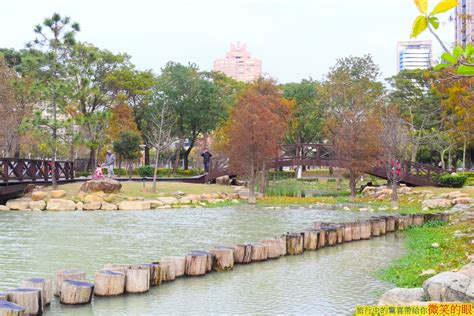 【高雄】凹子底森林公園~賞美麗落羽松 繽紛花海~周末假日讓我們野餐趣 微笑的眼