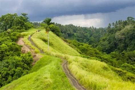 Menjelajahi Keindahan Bukit Guungan Destinasi Wisata Tersembunyi