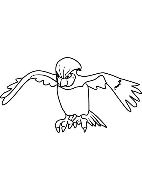Pokemon Pidgeotto Coloring Page Coloring Page Central The Best Porn