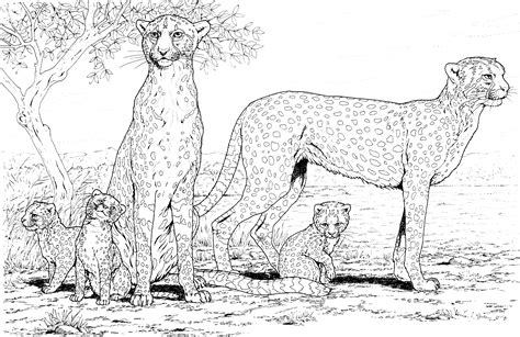 Free Cheetah Printable Images: Easy Download & Print - Printables for