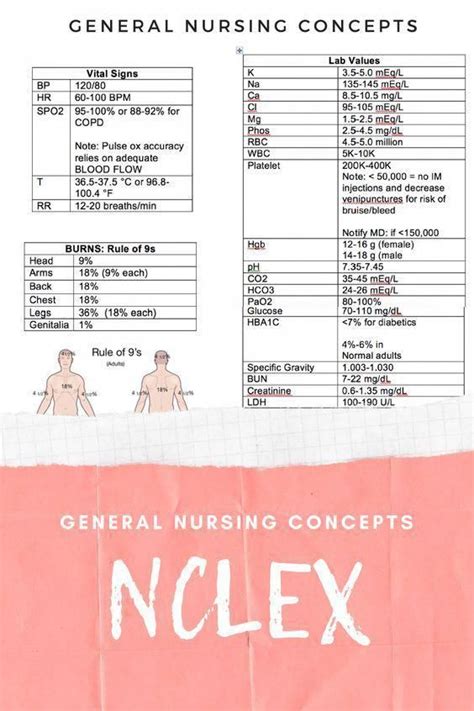 Update Nclex Pn Practice Questions For Free Artofit