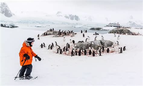 Antarctica Direct Fly The Drake Passage National Geographic Orion Iexpedition