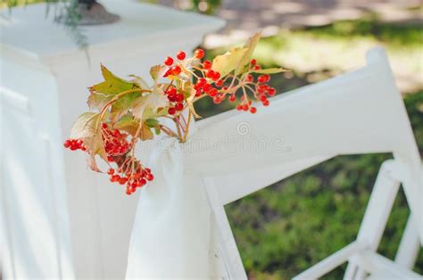 Casamento Estabelecido Cerim Nia No Peito Da Natureza Cadeiras Brancas