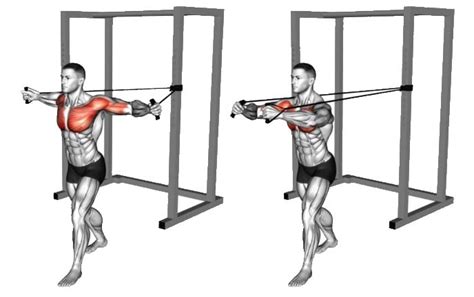 Resistance Band Chest Fly That You Can Do At Home