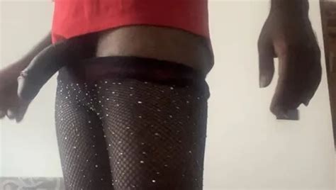 Sri Lankan Shemale Porn Videos 2 XHamster