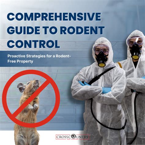 comprehensive guide  rodent control proactive strategies