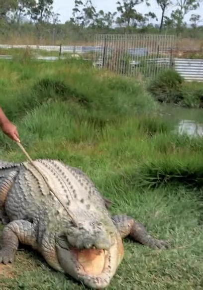 Watch Outback & Under With Hailey Winslow S01:E01 - Airlie Beach - Free ...