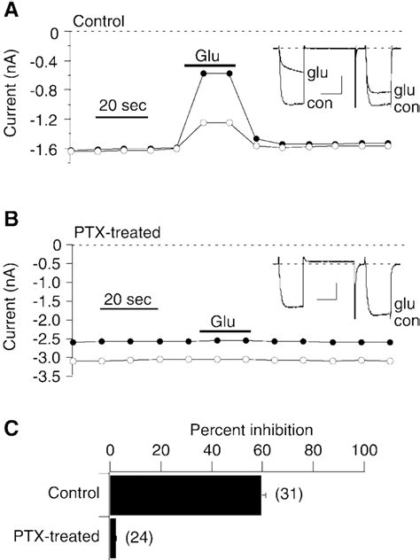 Calcium Current Modulation Mediated By Mglur2 Activation In Scg