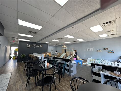 Picasso's sports cafe charlotte closures shock local fans 19