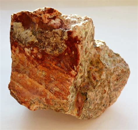 Jasper Leopardstone Rocks And Mineral Specimens For Sale