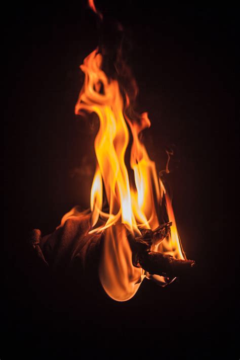 images burn burning burnt close  view dark fire firewood